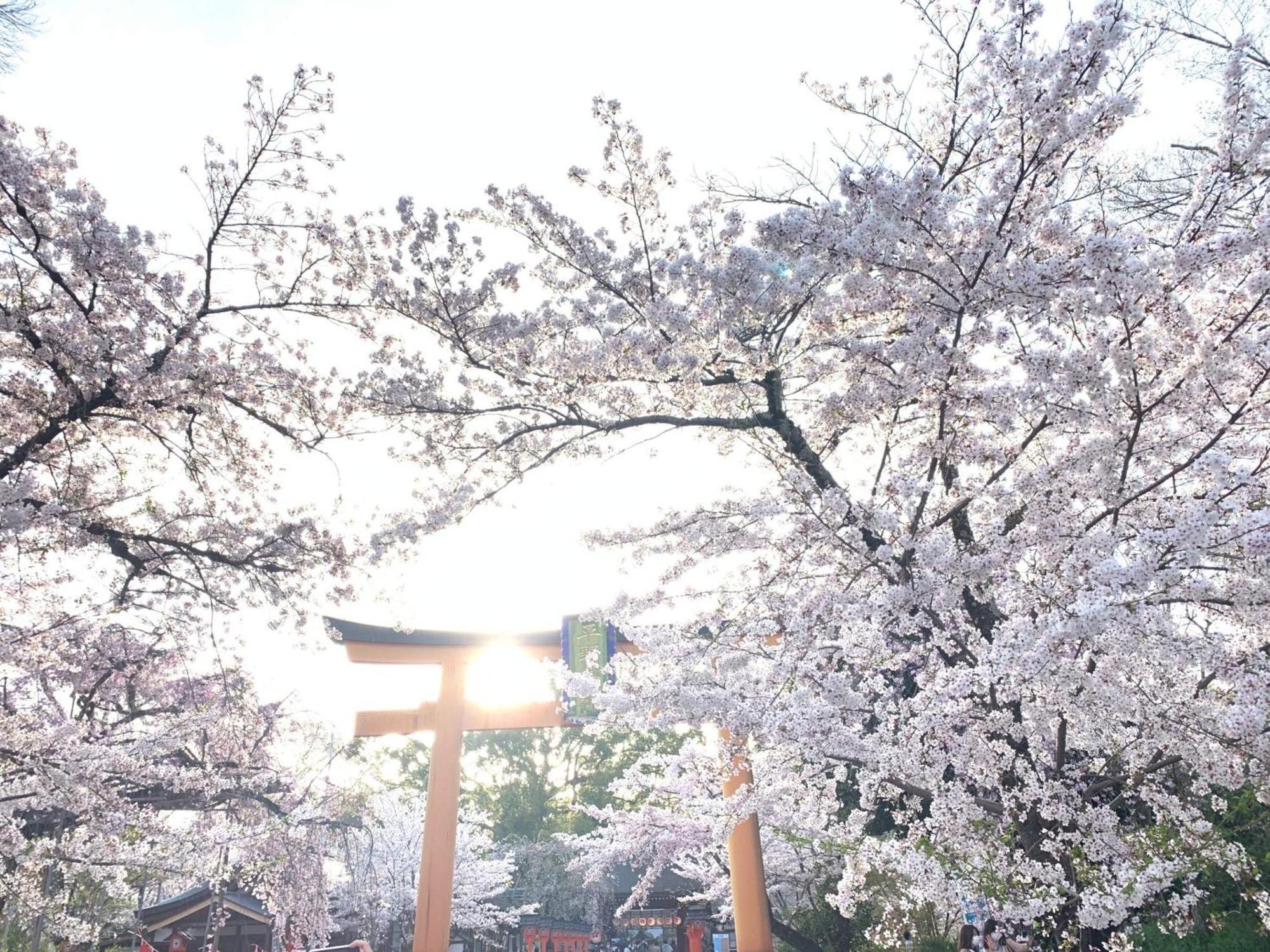 Guesthouse HANA Nishijin Kyoto Eksteriør billede